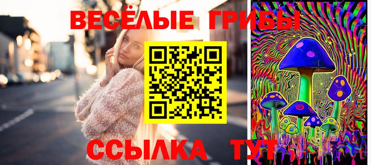 Галлюциногенные грибы Cubensis  Вход с VPN  Галлюциногенные грибы GOLDEN TEACHER  Менделеевск 